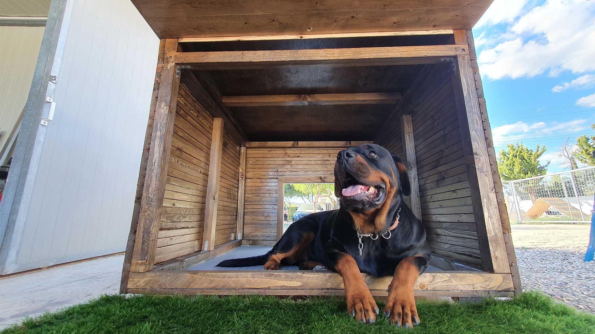 Lithos Digital - home_section_mid