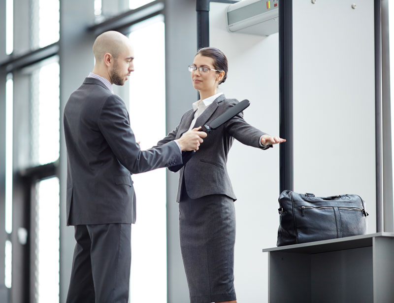 Lithos Digital - security-check