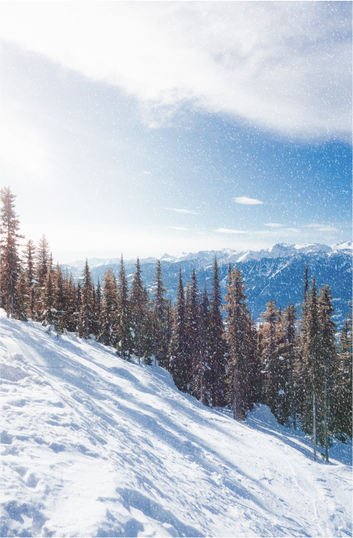 Lithos Digital - Deposit